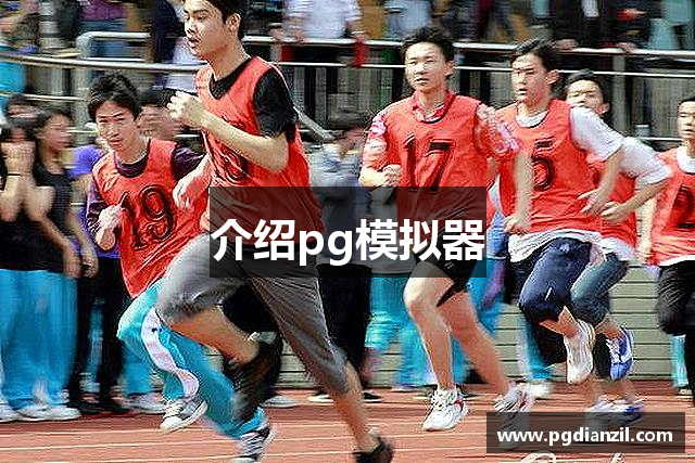 介绍pg模拟器